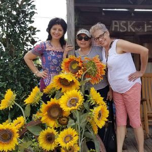 Meet your Posher, Elsa